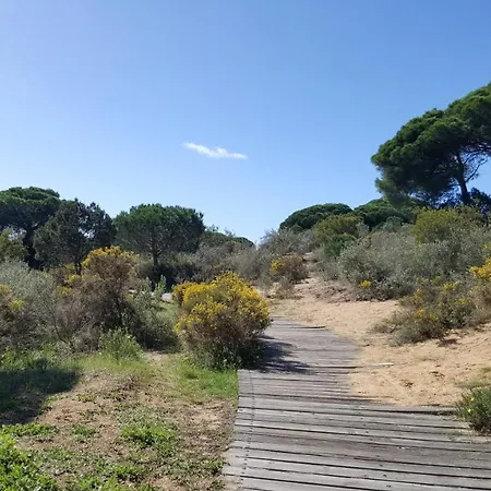 公寓 Playa Y Naturaleza 马塔拉斯卡尼亚斯