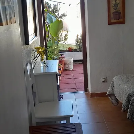 Playa Y Naturaleza * 马塔拉斯卡尼亚斯