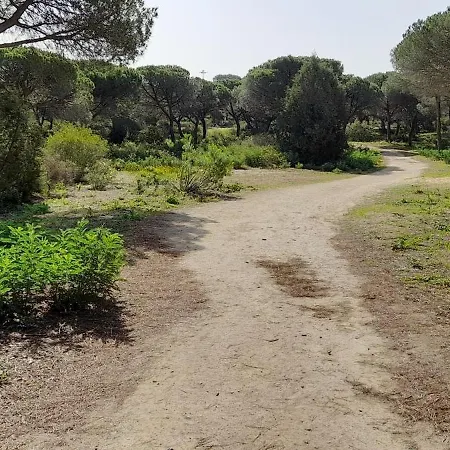 公寓 Playa Y Naturaleza
